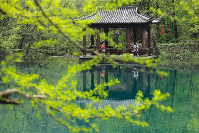 杭州游客清明假期天目山景区踏青赏花 镜子般湖面太美丽
