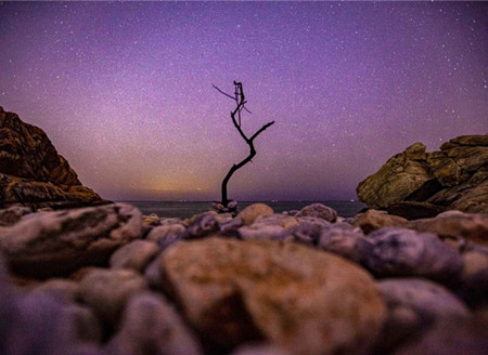 Star gazers treated to clear night in coastal Weihai