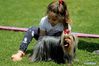 A child plays with a Yorkshire terrier dog at a dog show during the COVID-19 pandemic near Bucharest, Romania, May 23, 2021. (Photo by Cristian Cristel/Xinhua)