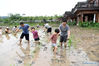 Tourists try transplanting rice seedlings at a scenic spot in Jiangjin District of southwest China's Chongqing, May 4, 2021. Official data showed 230 million domestic tourist trips were made during the five-day Labor Day holiday, up 119.7 percent from last year. (Xinhua/Tang Yi)