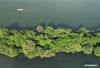 Aerial photo taken on May 7, 2021 shows a view of the West Lake scenic area in Hangzhou, capital of east China's Zhejiang Province. (Photo by Long Wei/Xinhua)