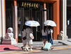 2021年6月17日，北京开启晴热暴晒模式，烈日当头，王府井、西单街头的市民及游客纷纷用伞等物件遮阳防晒。
