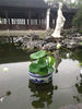2021年6月18日下午，南京莫愁湖公园内的一株并蒂莲含苞待放，引来市民前来围观。