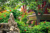 2021年6月2日，北京，初夏时节，故宫御花园美景如画。图为故宫御花园养性斋。