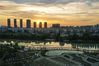 2021年6月7日傍晚，江苏淮安，夕阳映照下的洪泽区砚临河生态滨水公园。来源：视觉中国