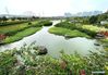 Tourists visit the Nakao River Wetland Park in Nanning, South China's Guangxi Zhuang autonomous region, on May 5, 2021. [Photo/Xinhua]