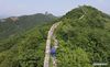 Aerial photo taken on July 7, 2021 shows Zhang Heshan patrolling along the Zhengguanling Great Wall in Qinhuangdao, north China's Hebei Province. Zhang Heshan, 66, is a villager of Chengziyu, where lies a section of China's Great Wall dating back to Ming Dynasty (1368-1644). Since 1978, Zhang has been a protector of the Great Wall. Over the years, he patrolled the wild Great Wall near his village and never been held back by various challenges, such as blizzards, rainstorms, wild bees and snakes. He has persuaded the herdsmen to leave, scared away the brick-stealers, stopped tourists from making carvings on the Wall, and reported damages. 
