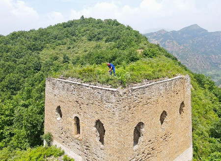 Pic story: protector of Great Wall