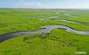 Aerial photo taken on July 21, 2021 shows the Morigele River in Hulun Buir, north China's Inner Mongolia Autonomous Region. (Xinhua/Lian Zhen)