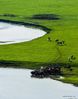 Photo taken on July 21, 2021 shows the Morigele River in Hulun Buir, north China's Inner Mongolia Autonomous Region. (Xinhua/Lian Zhen)