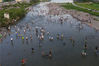 2021年7月31日，山西太原，民众在汾河湿地戏水纳凉。 