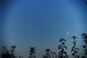 2021年9月9日，新疆巴音郭楞，城市上空的金星和月亮。