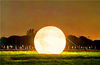 2021年9月15日，江苏苏州，手提彩灯走月亮的青少年与一巨型气模“圆月”相映衬。
