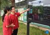 Bai Jie (L) and Shao Qi, college students from China Agricultural University, check data on a screen in Future Orchard in Xiying Village of Yukou Township in Pinggu District of Beijing, capital of China, Sept. 19, 2021. 