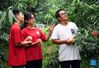 Zhou Zhan (L) and Bai Jie (C), college students from China Agricultural University, check the growth of peach in Future Orchard in Xiying Village of Yukou Township in Pinggu District of Beijing, capital of China, Sept. 14, 2021. 