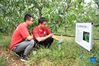Hao Shenglei (L) and Shao Qi, college students from China Agricultural University, check the soil status on mobile phone in Future Orchard in Xiying Village of Yukou Township in Pinggu District of Beijing, capital of China, Sept. 19, 2021. 