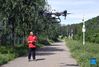 Shao Qi, a college student from China Agricultural University, operates a drone to spray fertilizer in Future Orchard in Xiying Village of Yukou Township in Pinggu District of Beijing, capital of China, Aug. 25, 2021. 