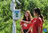 Bai Jie (R) and Li Ziyue, college students from China Agricultural University, check a small weather station in Future Orchard in Xiying Village of Yukou Township in Pinggu District of Beijing, capital of China, Aug. 25, 2021. 