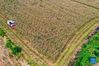 Aerial photo taken on Sept. 14, 2021 shows a villager harvesting millet in Yuanqu County of Yuncheng City, north China's Shanxi Province. (Xinhua/Cao Yang)