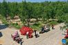 Aerial photo taken on Sept. 15, 2021 shows villagers weighing harvested dates in Ruicheng County of Yuncheng City, north China's Shanxi Province. (Xinhua/Cao Yang)