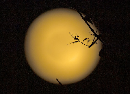 Full moon illuminates sky on Mid-Autumn Festival