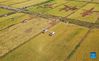 Aerial photo taken on Sept. 22, 2021 shows farmers operating machines to harvest rice in Zongqiao Township of Hengyang City, central China's Hunan Province. (Xinhua/Zhao Zhongzhi)