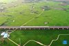 Aerial photo taken on Sept. 19, 2021 shows a high-speed train running over rice fields in Gula Townhip of Binyang County, south China's Guangxi Zhuang Autonomous Region. Thursday marks the Chinese farmers' harvest festival, which is celebrated on the Autumn Equinox every year. (Xinhua/Huang Xiaobang)