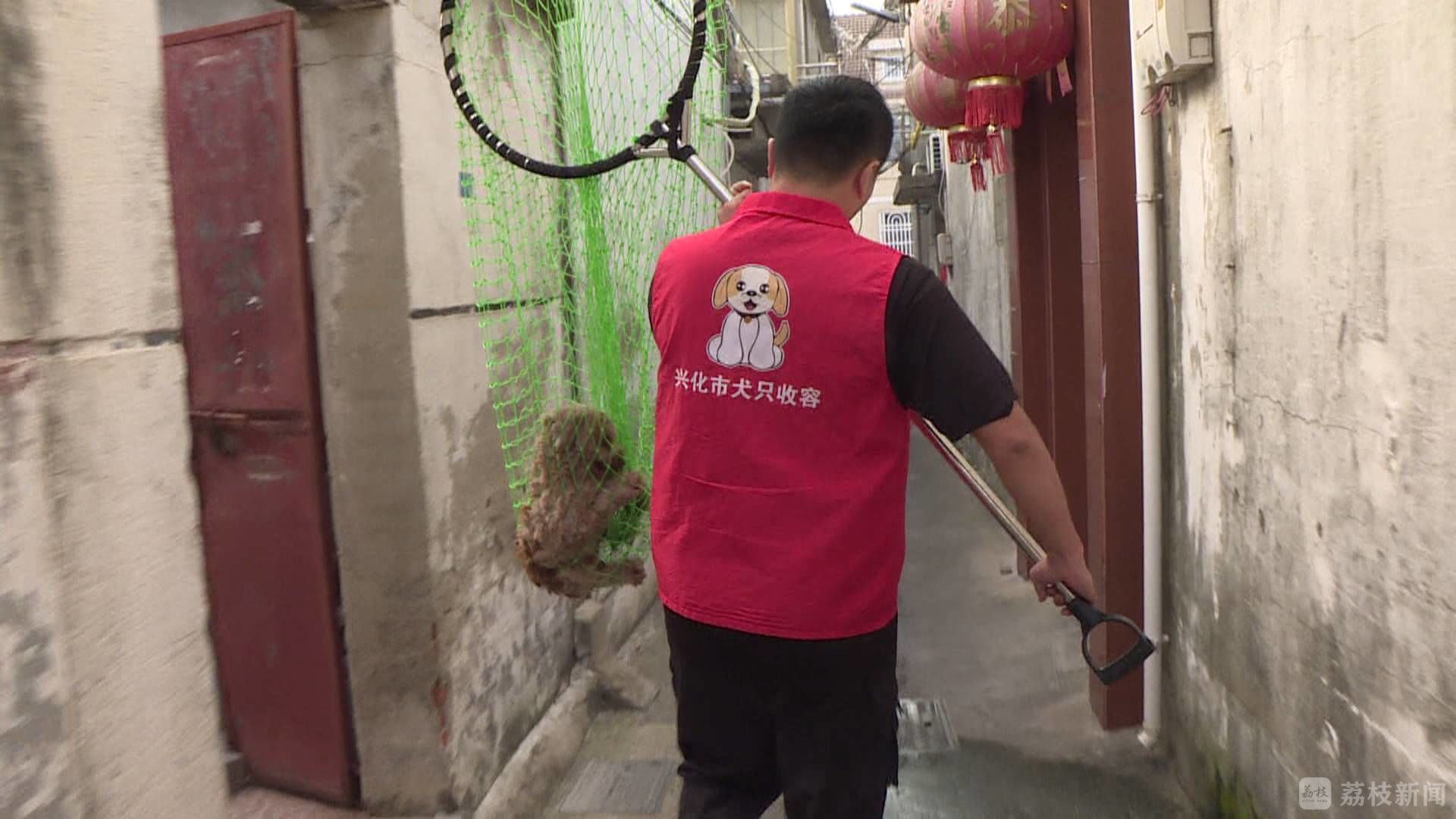北京流浪动物救助者李林：“让它们都有一个家”__财经头条