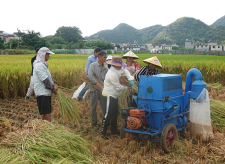 Guizhou hybrid rice yield sets new record