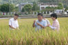 Agricultural experts inspect the test field in Xingyi city, Guizhou province. [Photo by Dai Xianling/Provided to chinadaily.com.cn]