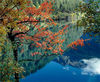 Jiuzhaigou scenic spot in Southwest China's Sichuan province. [Photo provided to chinadaily.com.cn]