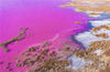 2022年1月12日，山西运城，盐湖部分水域呈现玫瑰红。随着天气变化生长着一种叫杜氏盐藻的嗜盐绿色微藻，在一定条件下会产生血红素，藻体呈红色，因而会把湖水染成红色，成盐湖独特景色。视觉中国 编辑/陈进