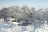 2022年1月13日，内蒙古牙克石，郊外出现雾凇美景，与冰河雪趣构成一幅美丽画卷。来源：视觉中国 