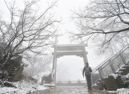 Nanjing welcomes first snowfall in 2022