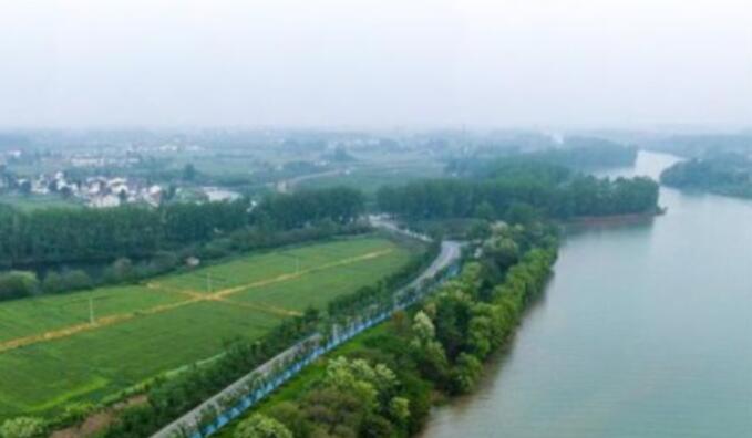 扬州运河乡村实现绿色转型，看一个国家森林村“生态账本”