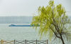 仲春时节，万物复苏，京杭大运河邳州段两岸迎来了繁花似锦的春色。