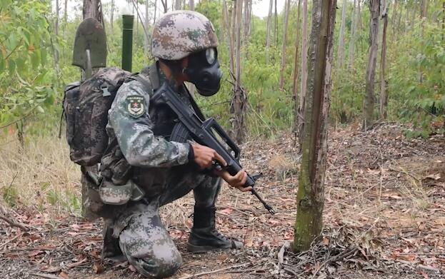 山岳丛林地 步兵班展开定向越野考核|荔枝军事