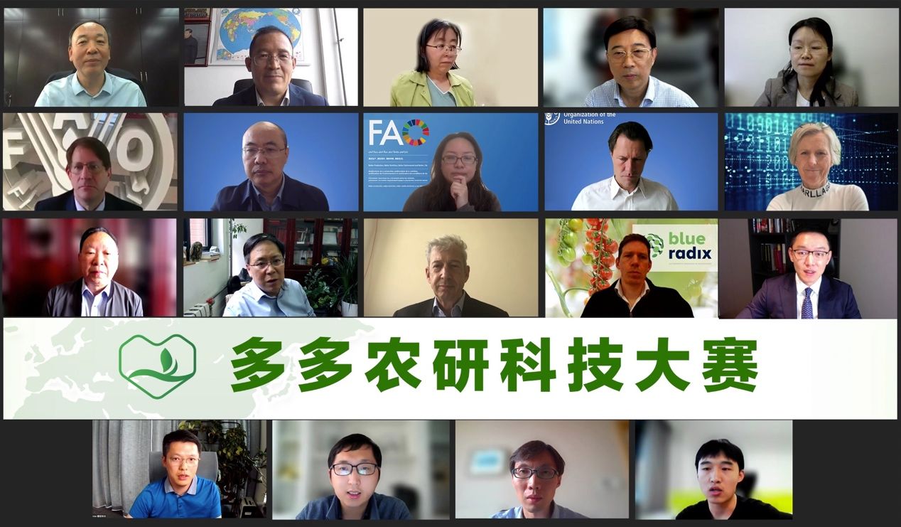 番茄|第二届“多多农研科技大赛”决赛结果出炉番茄产量翻倍品质远超传统种植