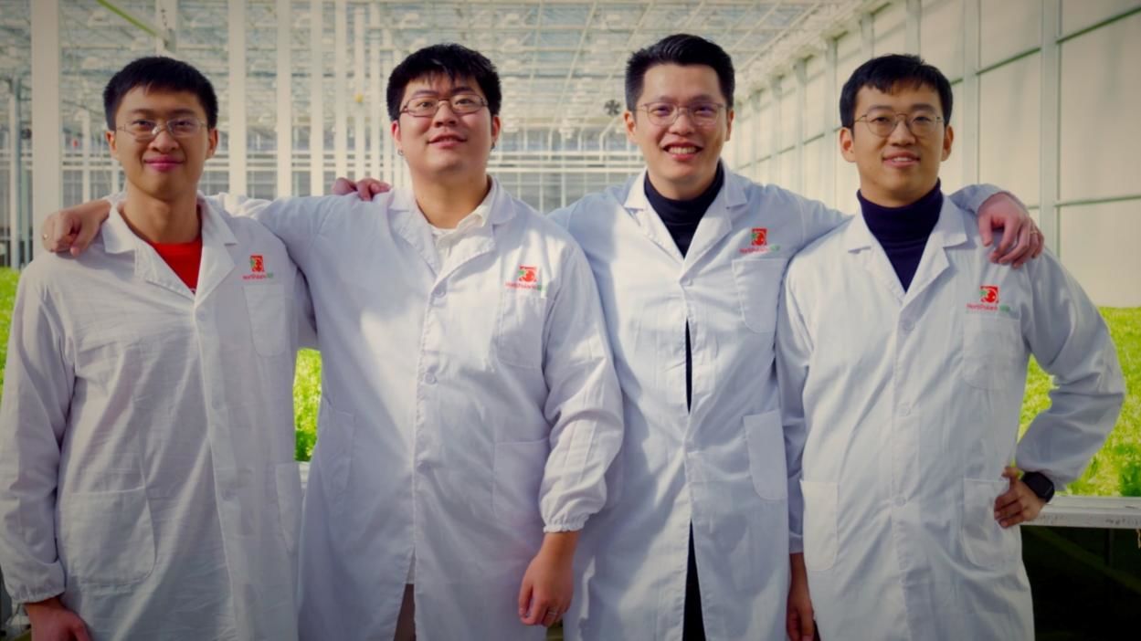 番茄|第二届“多多农研科技大赛”决赛结果出炉番茄产量翻倍品质远超传统种植