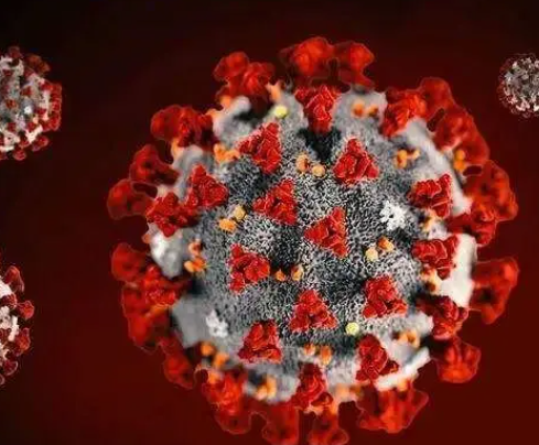 病毒|科普：奥密克戎毒株持续变异会有多大影响