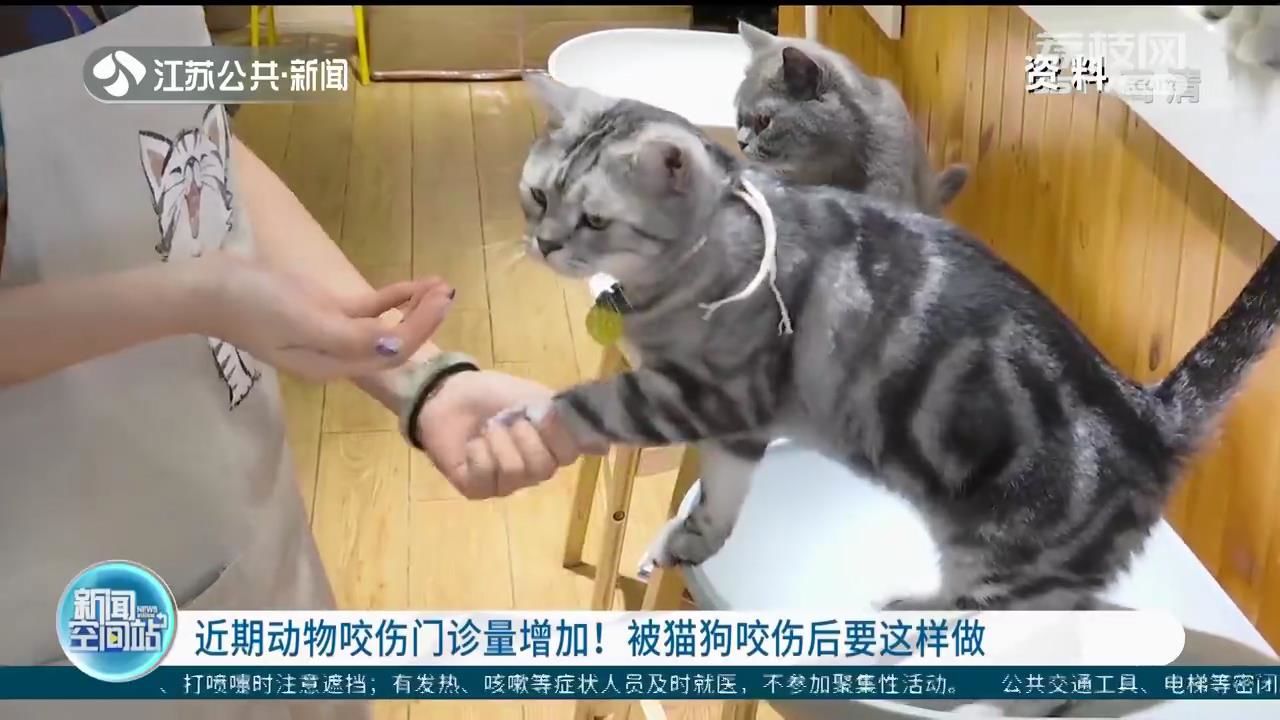 动物门诊用什么x光机近期动物咬伤门诊量增加！被猫狗咬伤后要这样做_https://www.jmylbn.com_新闻资讯_第1张