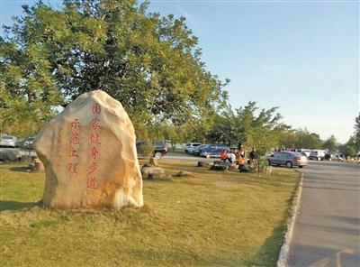 增城区荔城街陈桥头村   旧貌换新颜 出门是公园