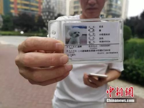 一位养狗民众给记者看自己为爱犬办理的证件 刘欢 摄