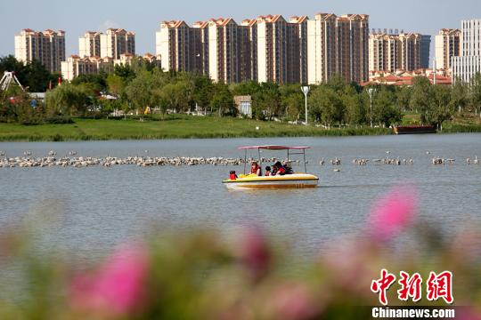 图为游客在兰州新区人工湖中"乐游".丁凯 摄