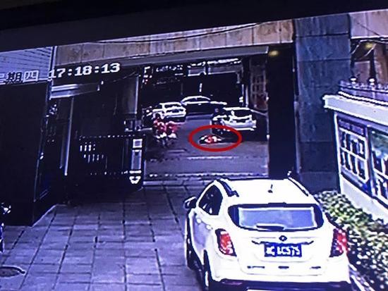 水泥脱落连带花盆从5楼坠下 11岁男孩被砸中后死亡