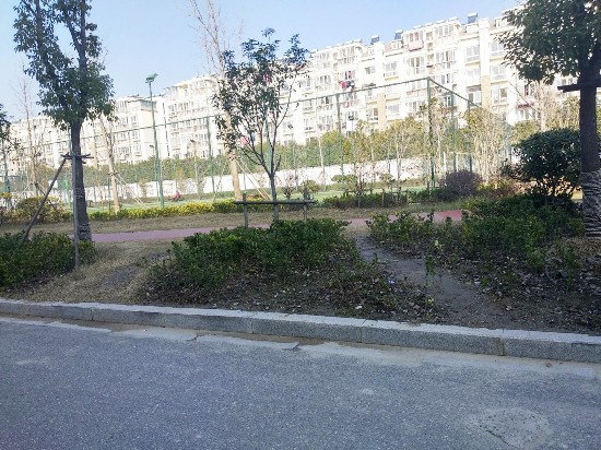 公園綠化多處遭破壞 灌木凋零 草皮踩出小路