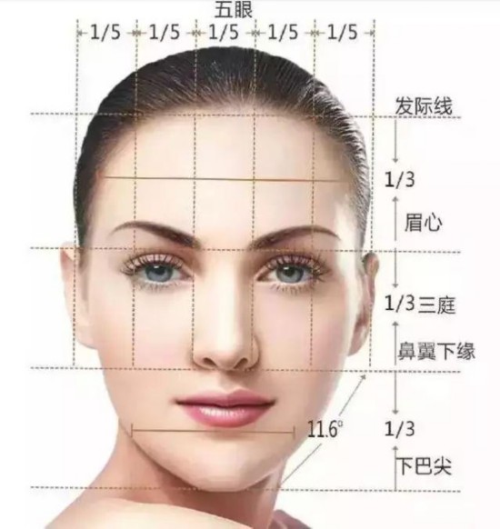 我们常说的三庭五眼是一个大家熟知的衡量标准.