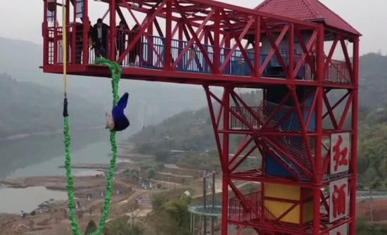 重庆一景区让肥猪蹦极 工作人员称只是做试验