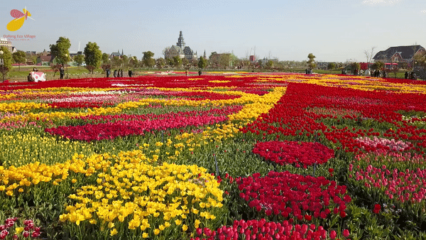 600_338gif 动态图 动图