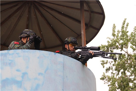 在新兵训练中,他就听说支队有一支"飞鹰突击队",是全支队的尖刀铁拳
